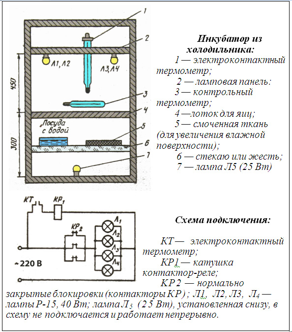 inkubator iz holodilnika.jpg