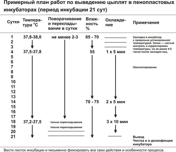 Режим инкубации 1.jpg