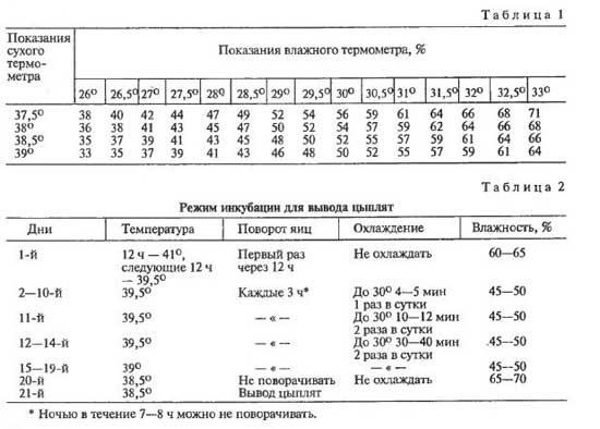 Режим инкубации 2.jpg