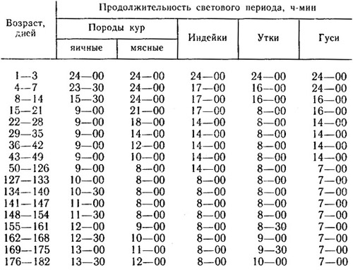 СВЕТОВОЙ РЕЖИМ ДЛЯ ПТИЦ.jpg