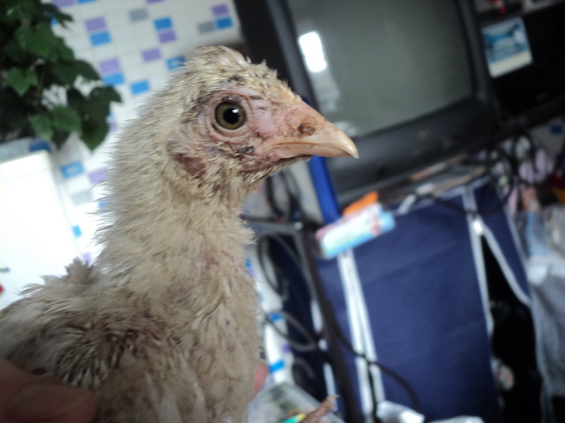 DSC01563.JPG DSC01563.JPG