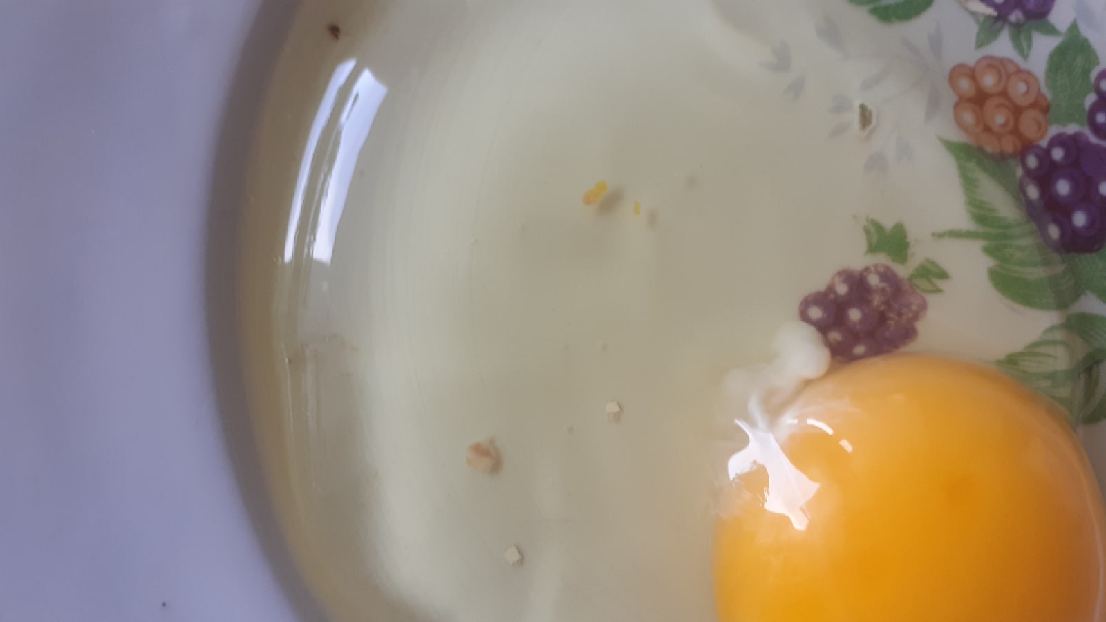 hv6hdlw93hU.jpg hv6hdlw93hU.jpg