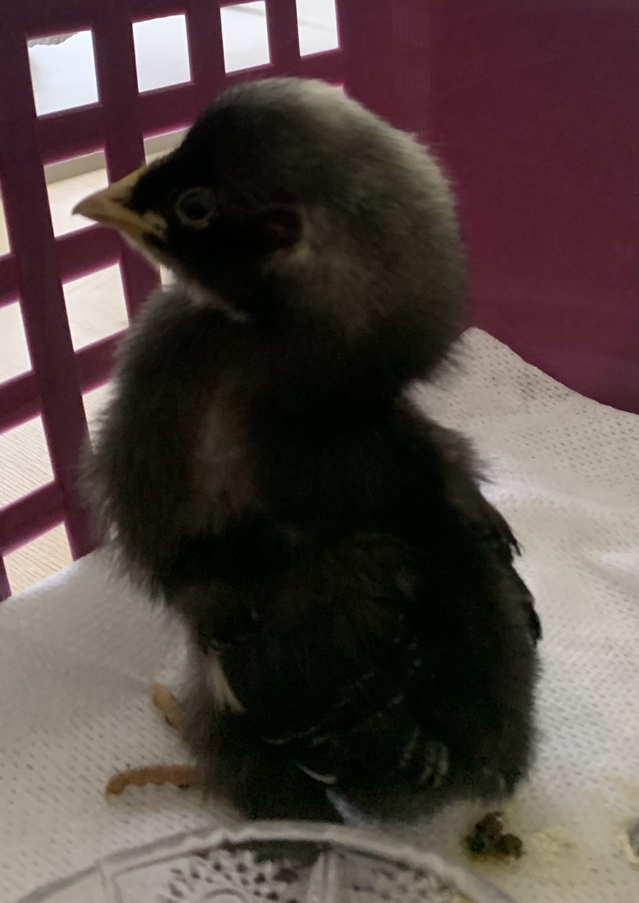 78E1C4CC-D2D7-4345-883E-E5843B3EAD0B.jpeg 78E1C4CC-D2D7-4345-883E-E5843B3EAD0B.jpeg