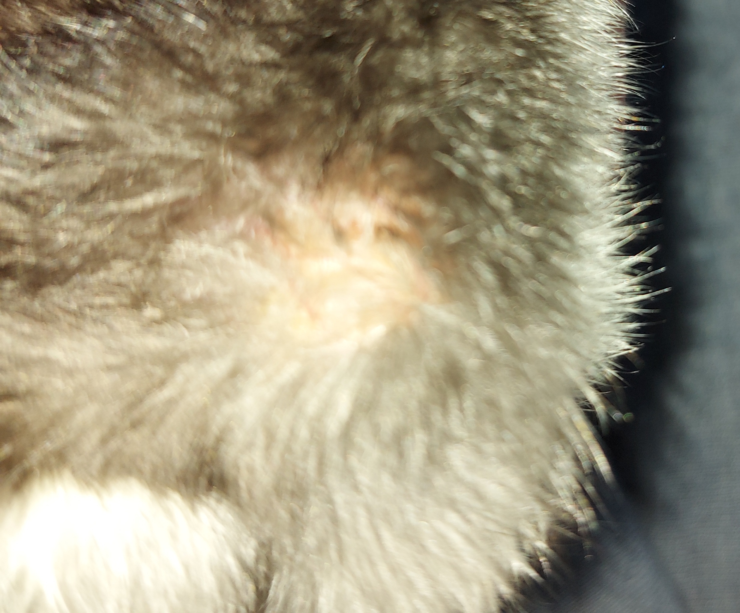 20220419_144527.jpg 20220419_144527.jpg