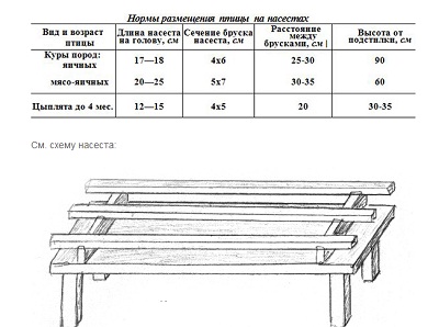 кле.jpg