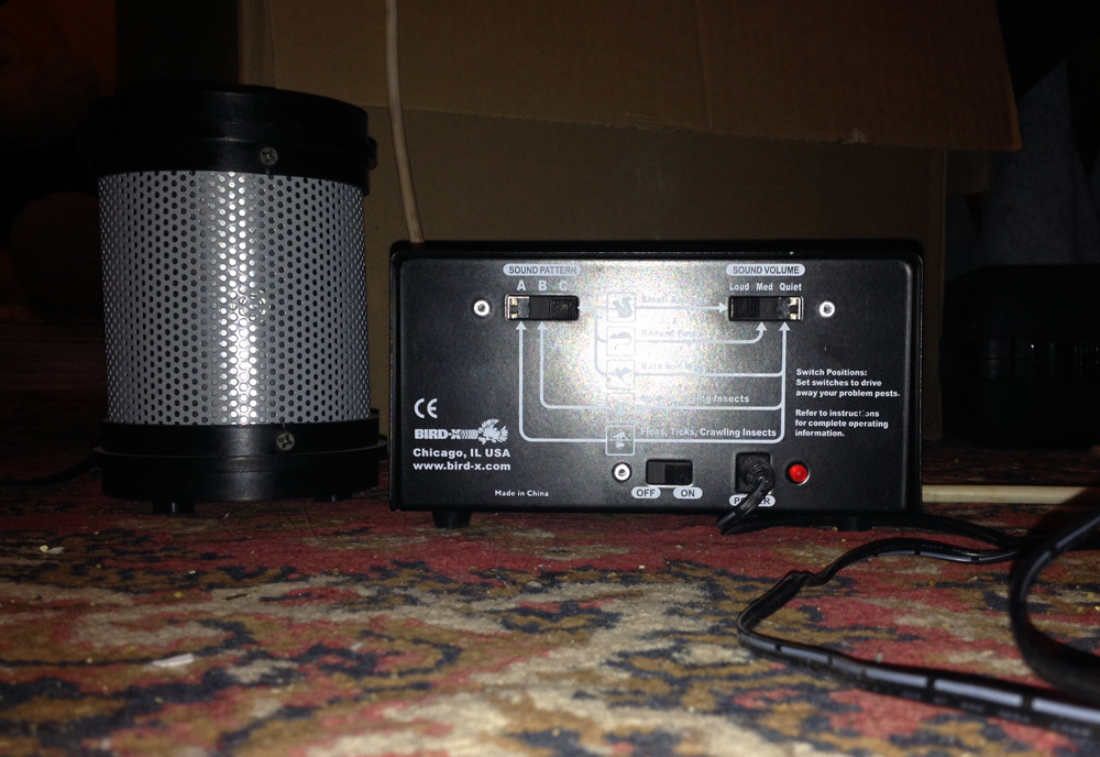 Это попа шайтан-машины. / 2014-11-12 20-27-52.JPG 2014-11-12 20-27-52.JPG