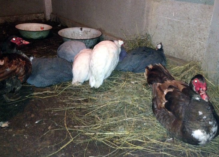 2014-11-16 18-13-47-1.jpg 2014-11-16 18-13-47-1.jpg