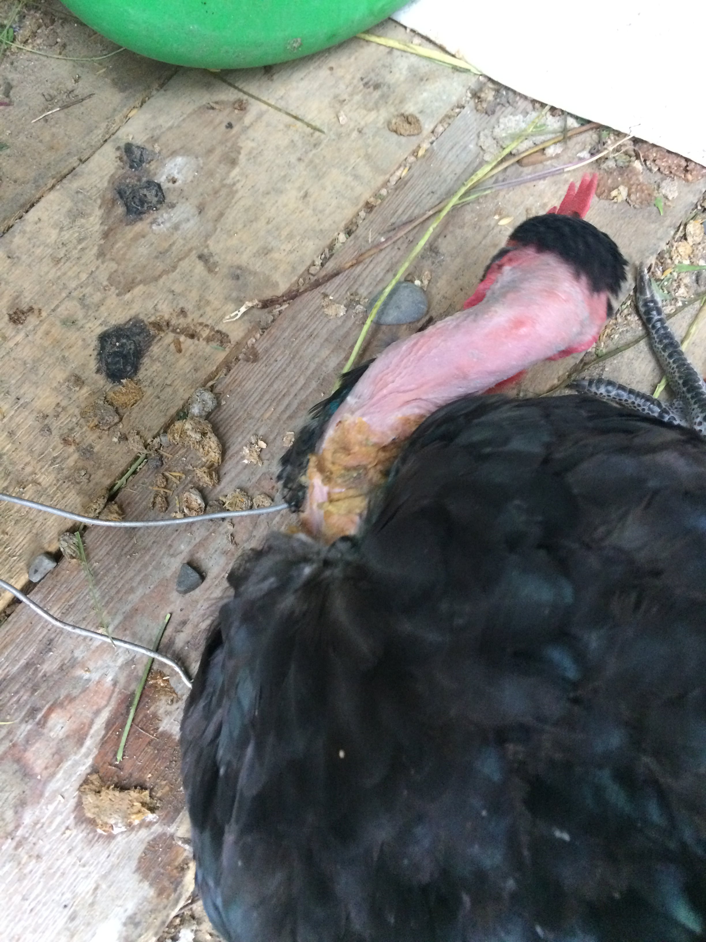 IMG_0913-min.JPG IMG_0913-min.JPG